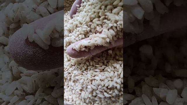 Рис ЧУНГАРА разновидность Девзиры смотреть онлайн