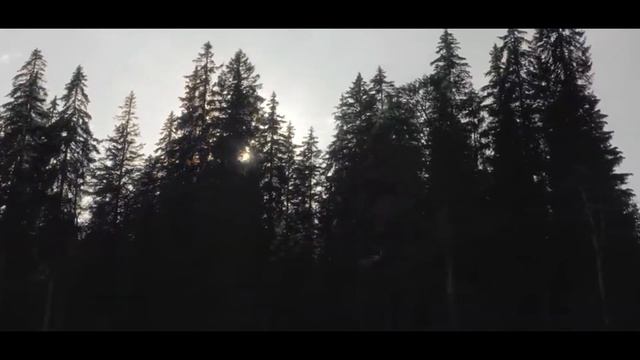 Стих Дмитрия Витальевича Кравченко "Люблю взбираться на вершину" Прочитал Сергей Ромашкин. смотреть онлайн