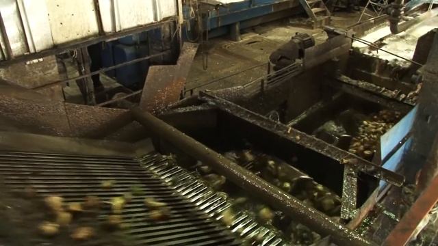 Как это сделано. Сахар из свёклы смотреть онлайн