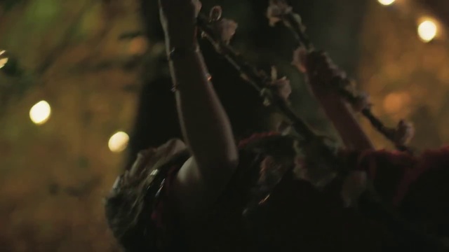 Birdy - Wings (Official Video)