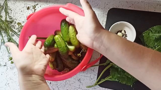 Хрумкі огірки. Зберігаються в квартирних умовах без проблем!!! смотреть онлайн