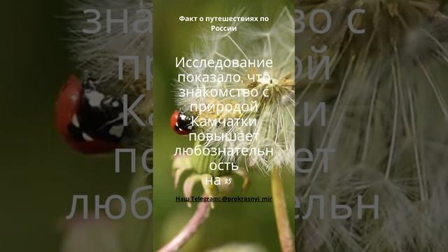 Путешествия по России смотреть онлайн