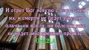 Если болезнь не проходит слушай эти псалмы 23, 35, 38 слушать 40 раз