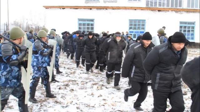 Петухи Изгои за решёткой смотреть онлайн