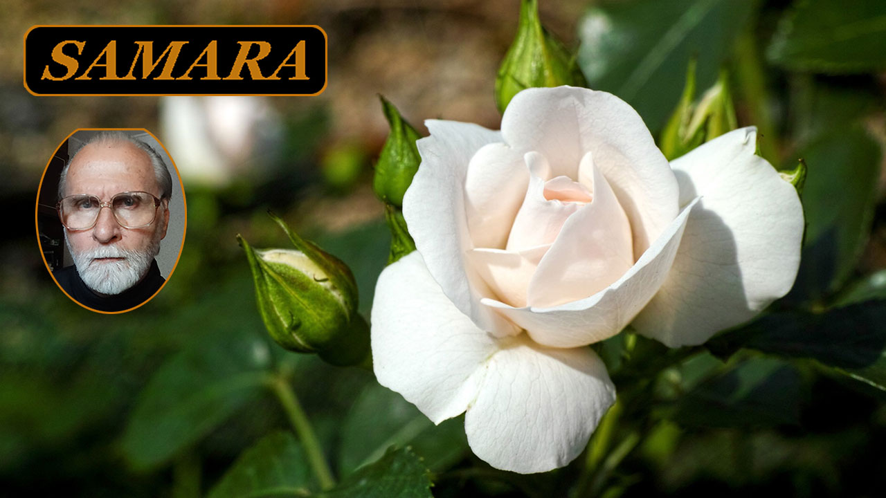 Самара. Ботанический сад. Конец сентября - 3. Samara. The Botanical Garden. The end of September. смотреть онлайн