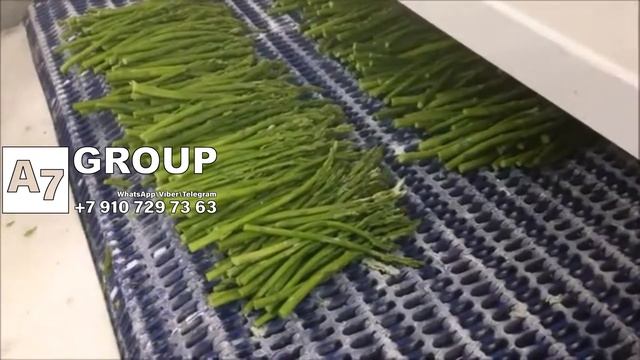 Линия заморозки спаржи 1000 кгч смотреть онлайн