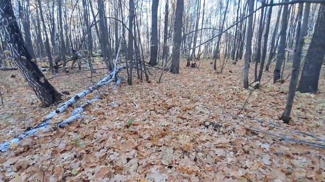 Золотая Осень и Красивая Музыка для Души на пианино Релакс смотреть онлайн