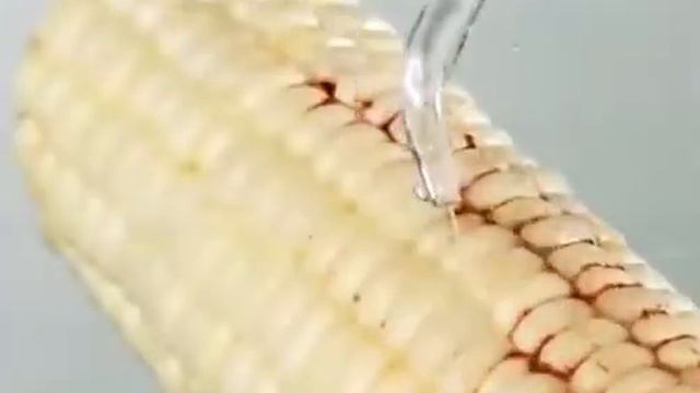 Power Floss Dental Water Jet смотреть онлайн