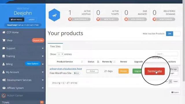 How to renew CloudAccess.net hosting || WordPress смотреть онлайн