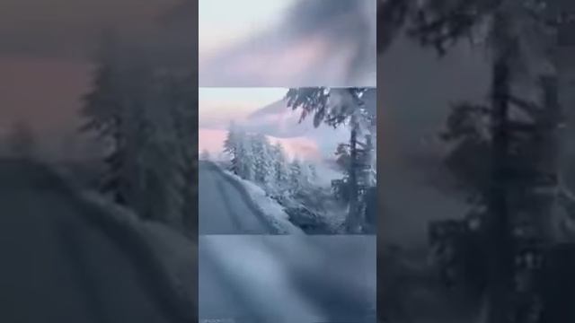 Ленские парни ЛАТП 👍 смотреть онлайн