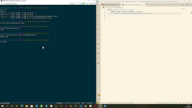JAVA_TOOL_OPTIONS смотреть онлайн