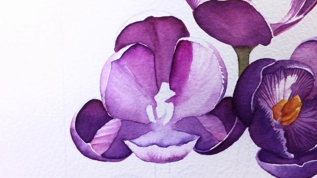 3 Purple Crocus Painting // Watercolour Marker Time Lapse