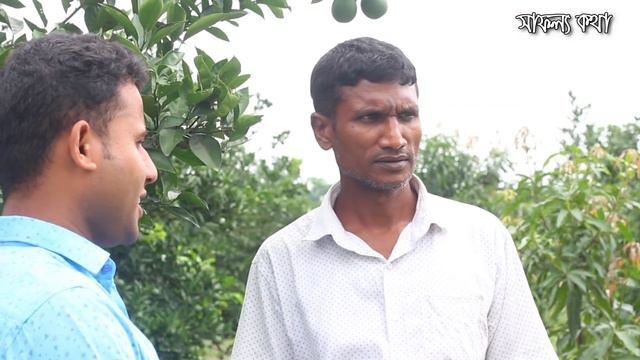 মাল্টা চাষ পদ্ধতি | বাণিজ্যিক মিশ্র ফল বাগানে লাভবান কৃষক | Safollo Kotha Ep 58 смотреть онлайн