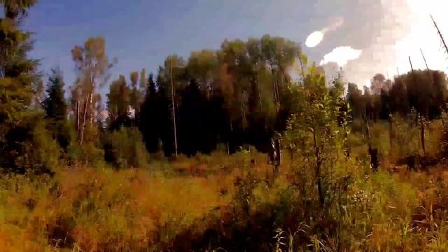 Скоро осень Господа, скоро осень! смотреть онлайн