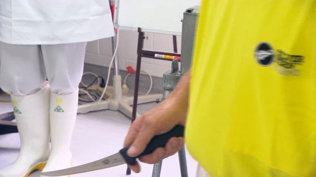 Knife Skills Training at Silver Fern Farms смотреть онлайн