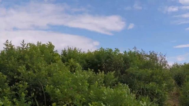 Бухта Амбабоза. Она же б.Пионерская. Озеро Черепашье. Мыс Геллера. Пляж Черепаха. смотреть онлайн