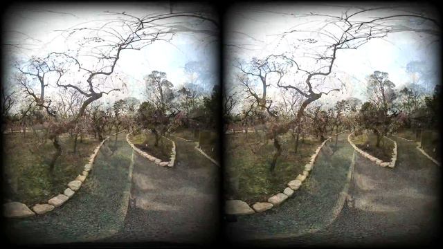 [3D 4k] KITANO TENMANGU Shrine KYOTO 4 [VR180] смотреть онлайн