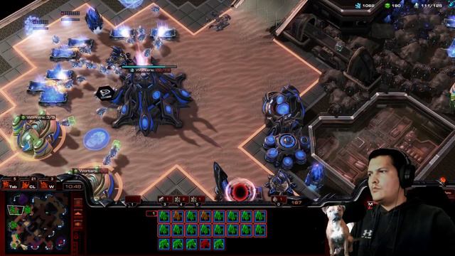 StarCraft 2 Protoss vs Zerg The fog of war punished me смотреть онлайн