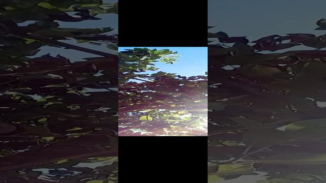 20240813_123018.mp4 смотреть онлайн