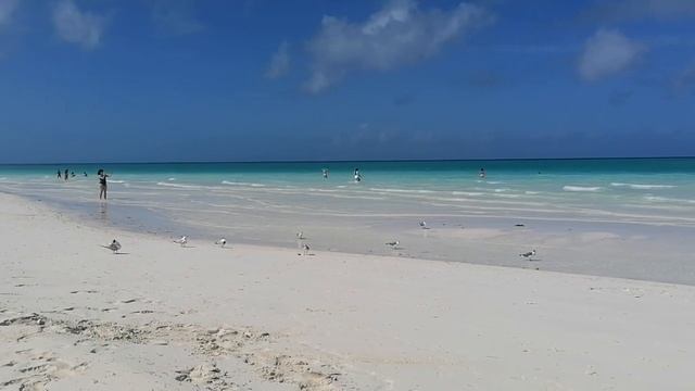 Куба. Пляж Пилар смотреть онлайн