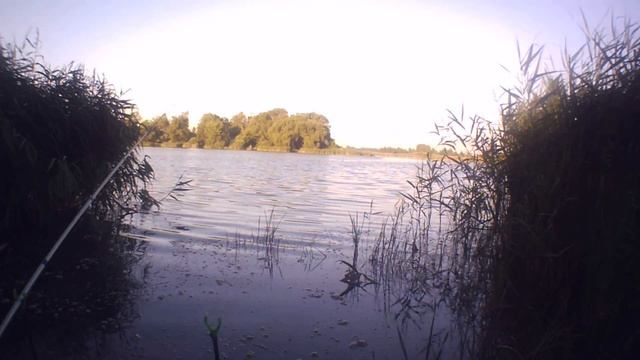 Закинул удочки, жду поклевки. Ура! Карась берет ! Ловля карася летом на поплавок смотреть онлайн