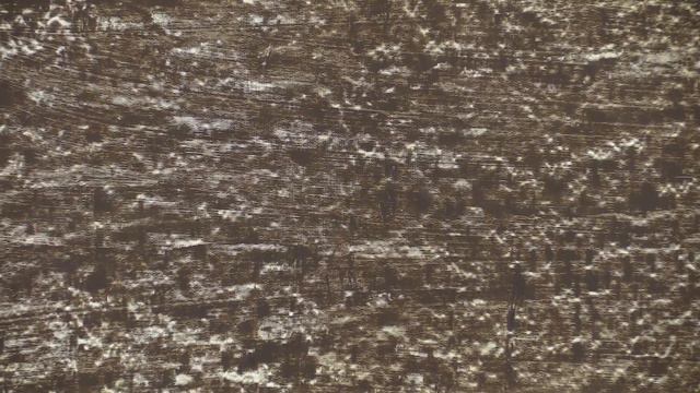 Basic Research Paintings: Isa Genzken in conversation with Gregor Muir смотреть онлайн