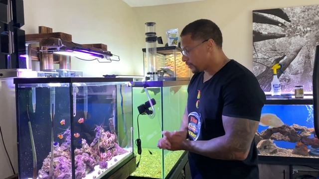 PROTEIN SKIMMER UNBOXING!! “For the 37 GALLON SALTWATER AQUARIUM” смотреть онлайн