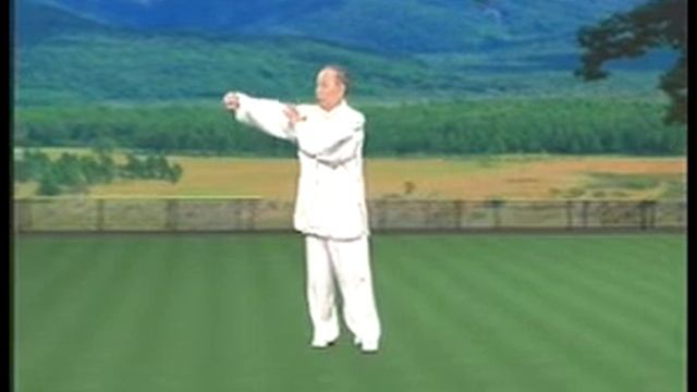 Yang shi tai chi quan. Pair complex. Pushing hands (Part 1) смотреть онлайн