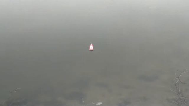 АТАКА ЖИВОТНОГО!!! ЖЕСТЬ смотреть онлайн