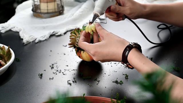 Mini Succulent Pumpkin Cake Stand Decoration | The Next Gardener смотреть онлайн