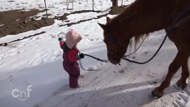 Emma and Cinnamon | Little Girl and Horse Are Best Friends смотреть онлайн