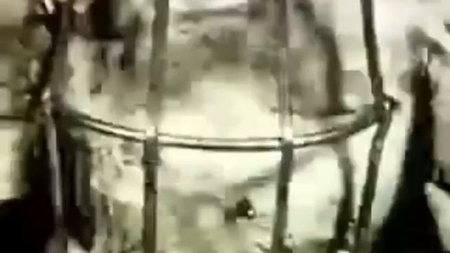 Deep Web Videos Volume 2 смотреть онлайн