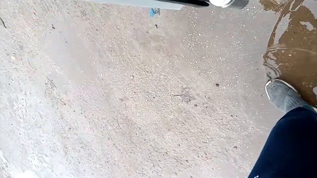 Вис рефрижератор МУЛЬТИТЕМПЕРАТУРНЫЙ