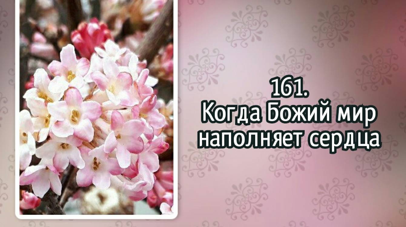 Гимны надежды 161 Когда Божий мир наполняет сердца (-) смотреть онлайн