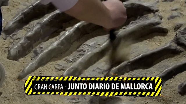 Dinosaurs Tour - Palma 2024 смотреть онлайн