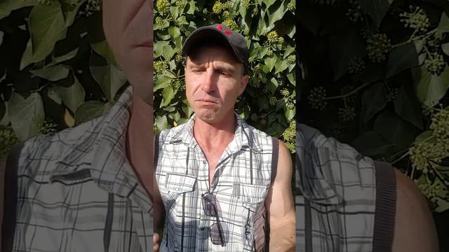 В меня вселилась черная тварь. Астральные сущности. смотреть онлайн