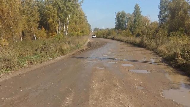 Шаровая! смотреть онлайн