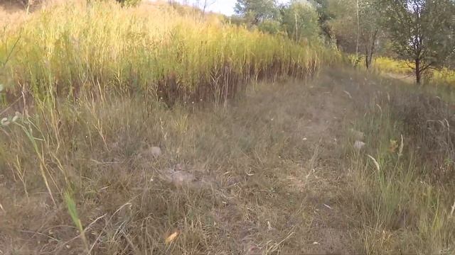 Loncin LX300 дінамічєска покатуха смотреть онлайн