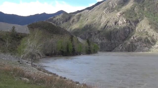 журавли смотреть онлайн