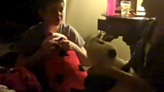 Pillow Pets смотреть онлайн