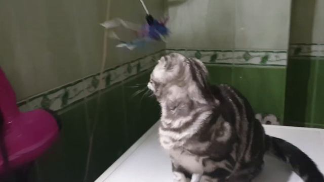 22 июня 2020 г. смотреть онлайн