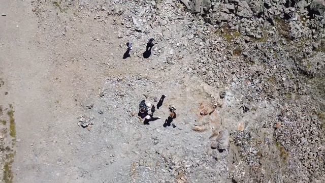 Домбай 2020 смотреть онлайн