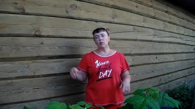 Вьющиеся растения на стене! Если очень хочется, то можно! смотреть онлайн
