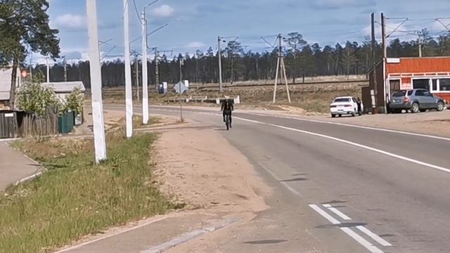 Гармония в ремонте