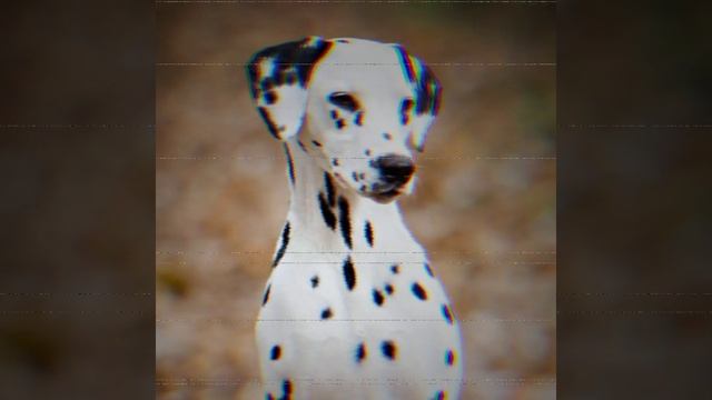 СЮЖЕТ СЛЕНДИПУЗИКОВ 3!!! смотреть онлайн