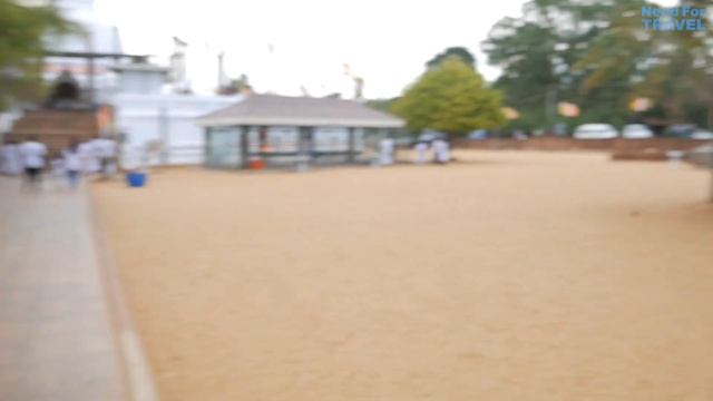 Шри-Ланка на Велосипедах, часть 2: Путталам - Анурадхапура - Михинтале -Дни Пойя, ЮНЕСКО [+ENG SUB] смотреть онлайн