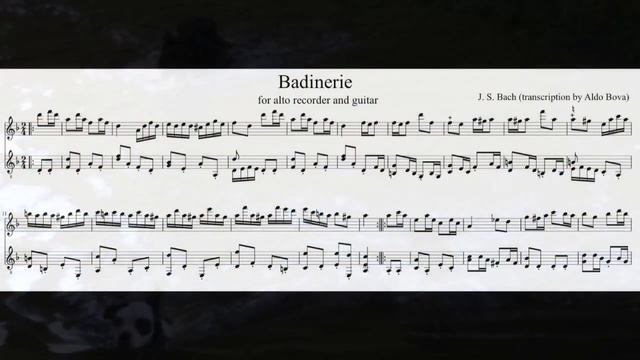 J. S. Bach, Badinerie, for recorder and guitar смотреть онлайн