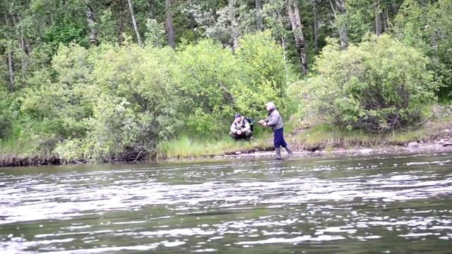 р. Кола. Семга на бомбарду с мухой. смотреть онлайн