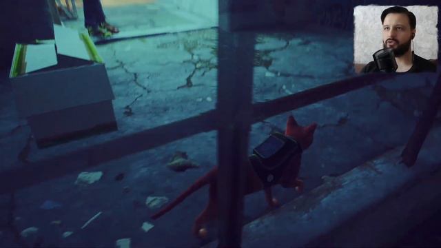 КЛЕМЕНТИНА | STRAY | Прохождение на PS5 смотреть онлайн