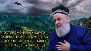САВОЛ АЗ ЗАНИ ИСЛОМИ ХОЧИ МИРЗО  САВОЛУ ЧАВОБ